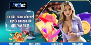 Ưu Đãi Thành Viên VIP - Quyền Lợi Cho Hội Viên Thân Thiết